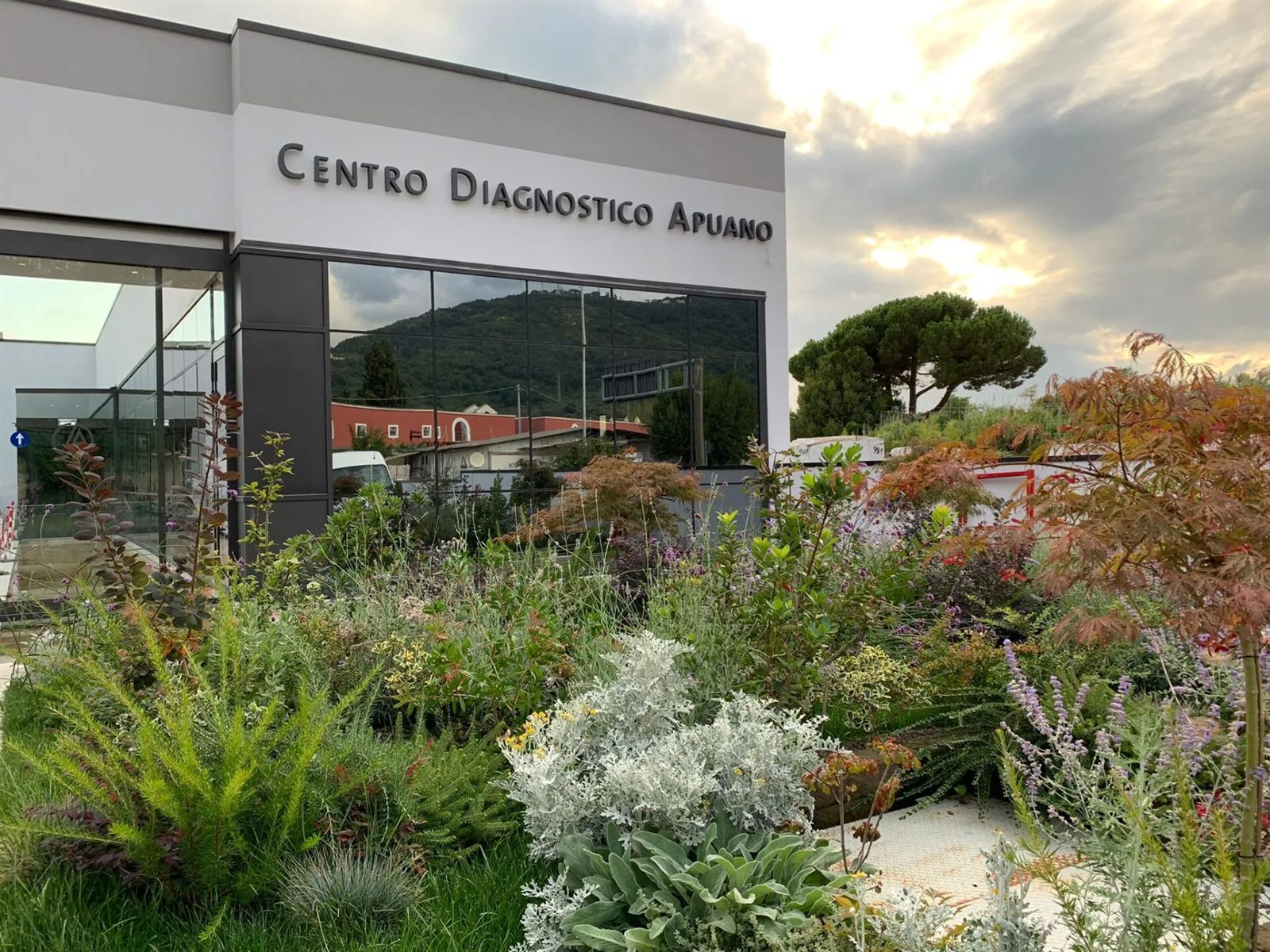 Ingresso del Centro Diagnostico Apuano a Carrara